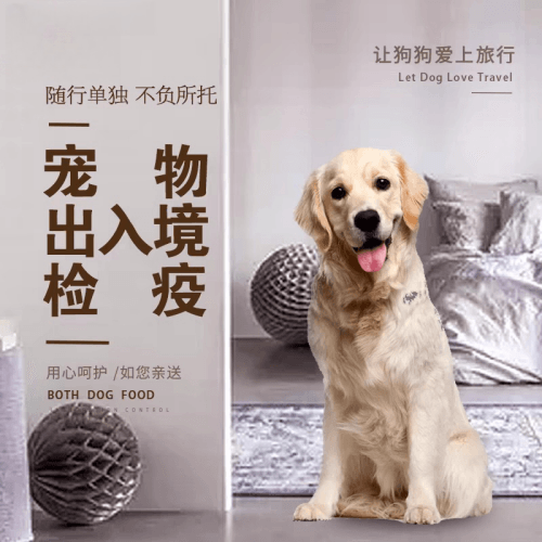 嘉定区宠物托运到哥伦比亚猫狗宠物入境规定和