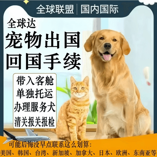 嘉定区宠物托运到柬埔寨宠物入境规定和要求